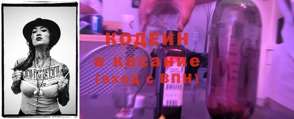 гашик Алексеевка